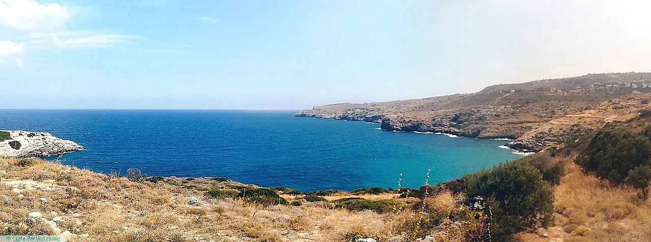 Level olive grove on cliff top with with sea & mountain views